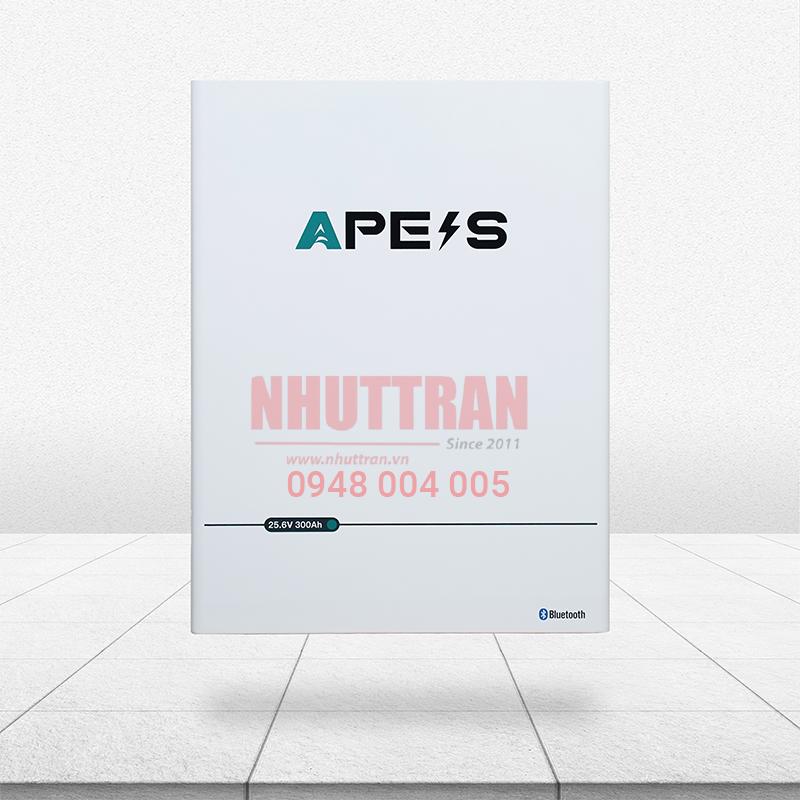 Pin lưu trữ APESS KE-25-300
