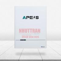 Pin lưu trữ APESS KE-25-300